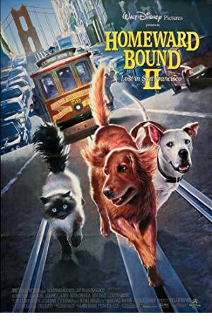 Homeward Bound II: Lost in San Francisco Poster Image