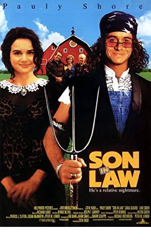 Son in Law Poster Image