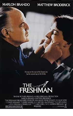 The Freshman Poster Image