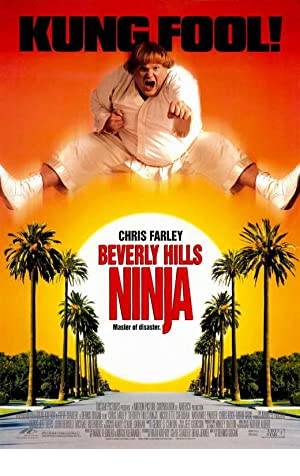 Beverly Hills Ninja Poster Image