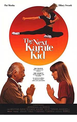 The Next Karate Kid Poster Image