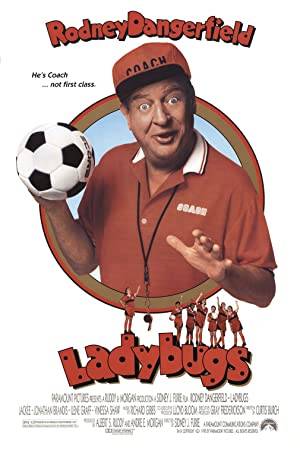 Ladybugs Poster Image