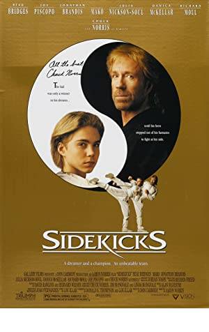 Sidekicks Poster Image