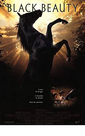 Black Beauty Poster Image