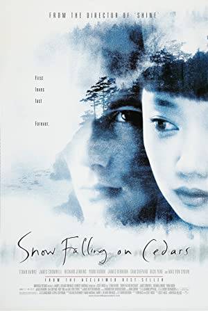 Snow Falling on Cedars Poster Image
