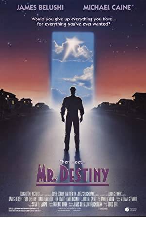 Mr. Destiny Poster Image
