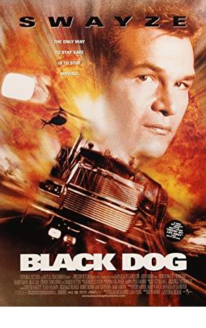 Black Dog Poster Image