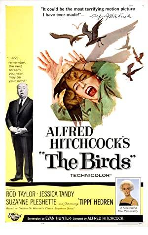 The Birds Poster Image