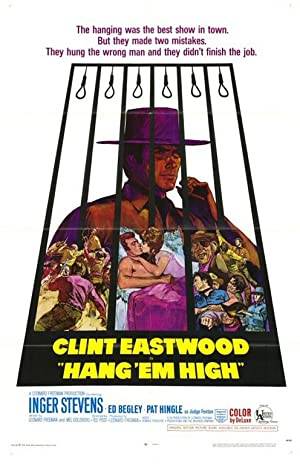 Hang 'Em High Poster Image