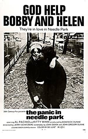 The Panic in Needle Park Poster Image