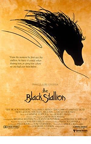 The Black Stallion Poster Image