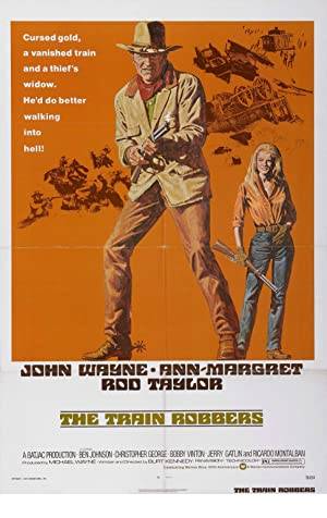 The Train Robbers Poster Image