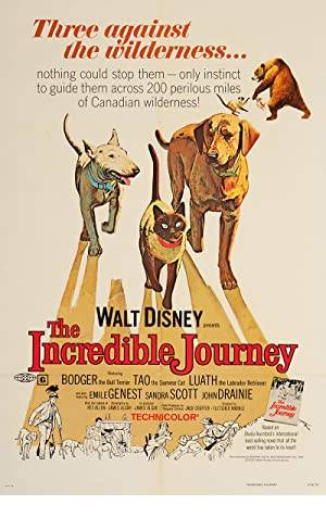 The Incredible Journey Poster Image