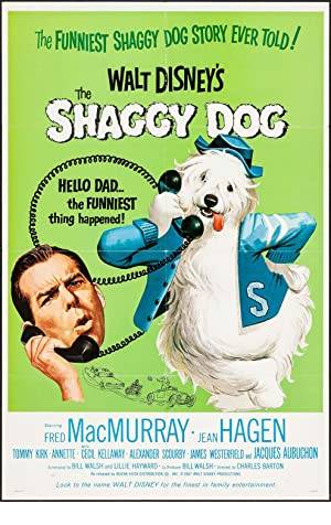 The Shaggy Dog Poster Image