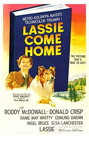 Lassie Come Home Poster Image