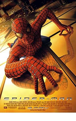 Spider-Man Poster Image