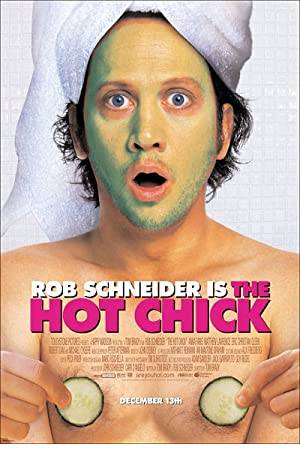 The Hot Chick Poster Image