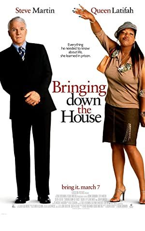 Bringing Down the House Poster Image