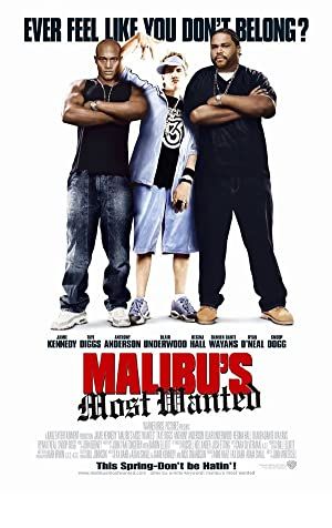 Malibu's Most Wanted Poster Image
