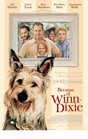 Because of Winn-Dixie Poster Image