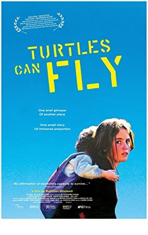 Turtles Can Fly Poster Image