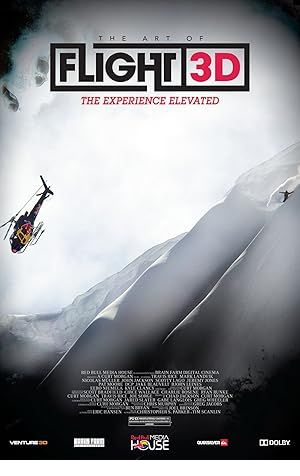 The Art of Flight Poster Image