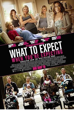 What to Expect When You're Expecting Poster Image