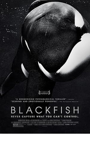 Blackfish Poster Image