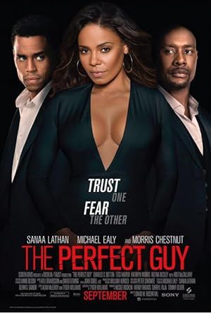 The Perfect Guy Poster Image