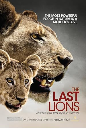 The Last Lions Poster Image