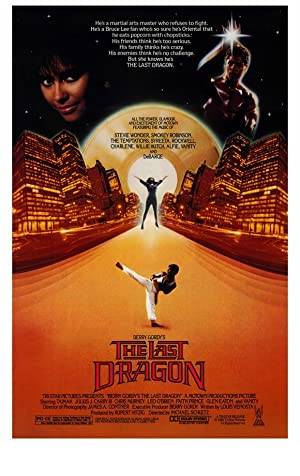 The Last Dragon Poster Image