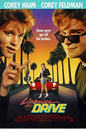 License to Drive Poster Image