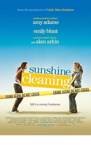 Sunshine Cleaning Poster Image