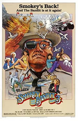Smokey and the Bandit Part 3 Poster Image