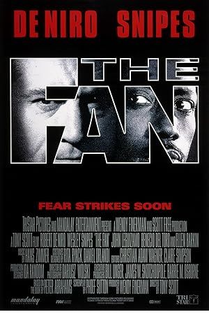 The Fan Poster Image