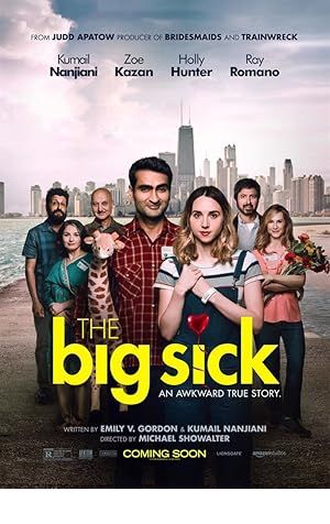 The Big Sick Poster Image