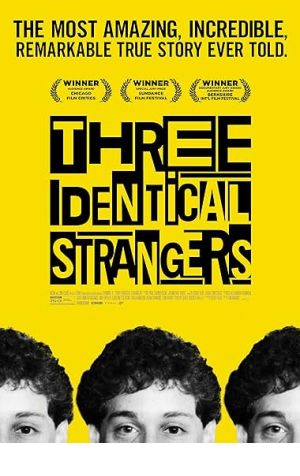 Three Identical Strangers Poster Image