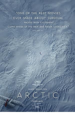 Arctic Poster Image