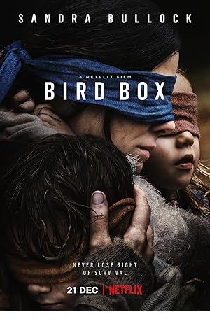 Bird Box Poster Image