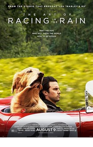 The Art of Racing in the Rain Poster Image