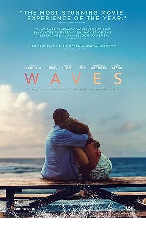 Waves Poster Image