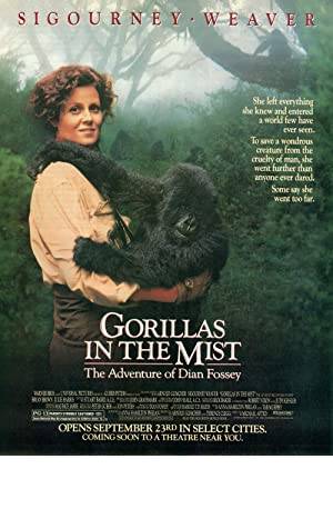 Gorillas in the Mist Poster Image