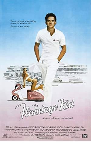 The Flamingo Kid Poster Image