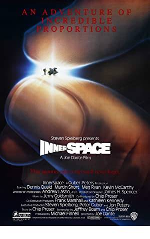 Innerspace Poster Image