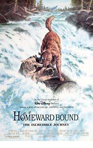 Homeward Bound: The Incredible Journey Poster Image
