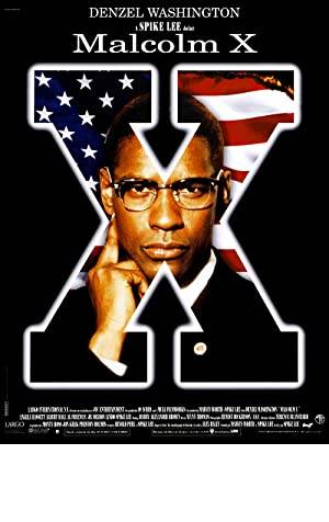 Malcolm X Poster Image